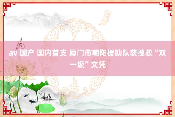 av 国产 国内首支 厦门市朝阳援助队获搜救“双一级”文凭