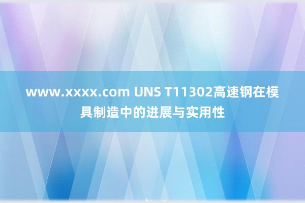 www.xxxx.com UNS T11302高速钢在模具制造中的进展与实用性