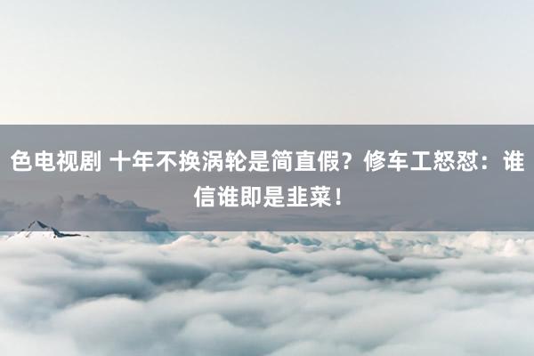 色电视剧 十年不换涡轮是简直假？修车工怒怼：谁信谁即是韭菜！