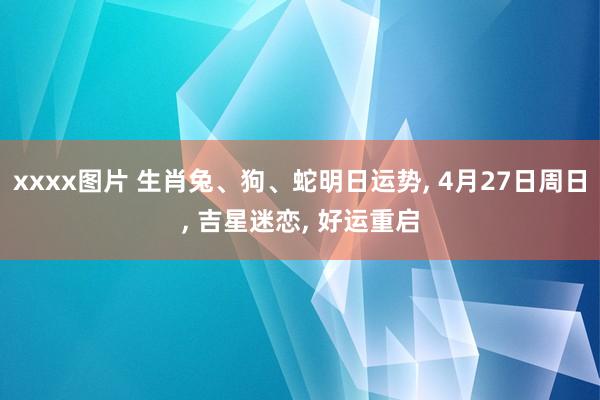 xxxx图片 生肖兔、狗、蛇明日运势, 4月27日周日, 吉星迷恋, 好运重启
