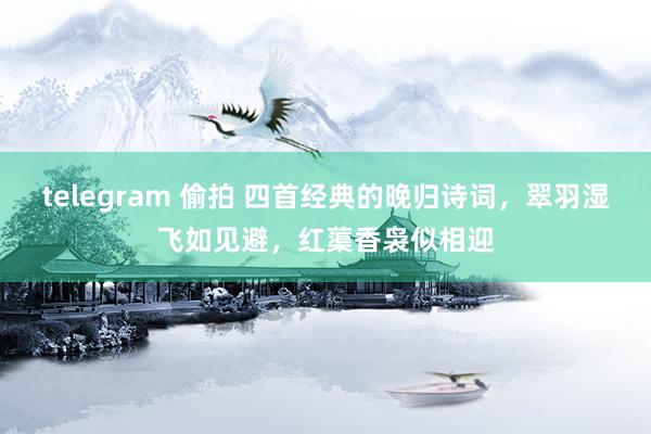 telegram 偷拍 四首经典的晚归诗词，翠羽湿飞如见避，红蕖香袅似相迎