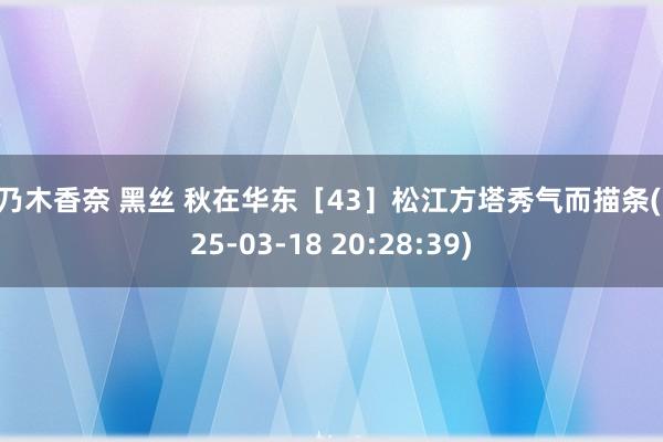 桃乃木香奈 黑丝 秋在华东［43］松江方塔秀气而描条(2025-03-18 20:28:39)